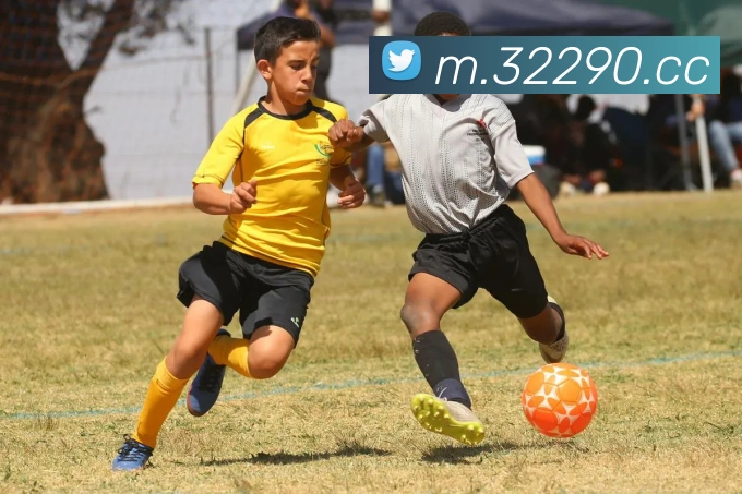 奖项证书